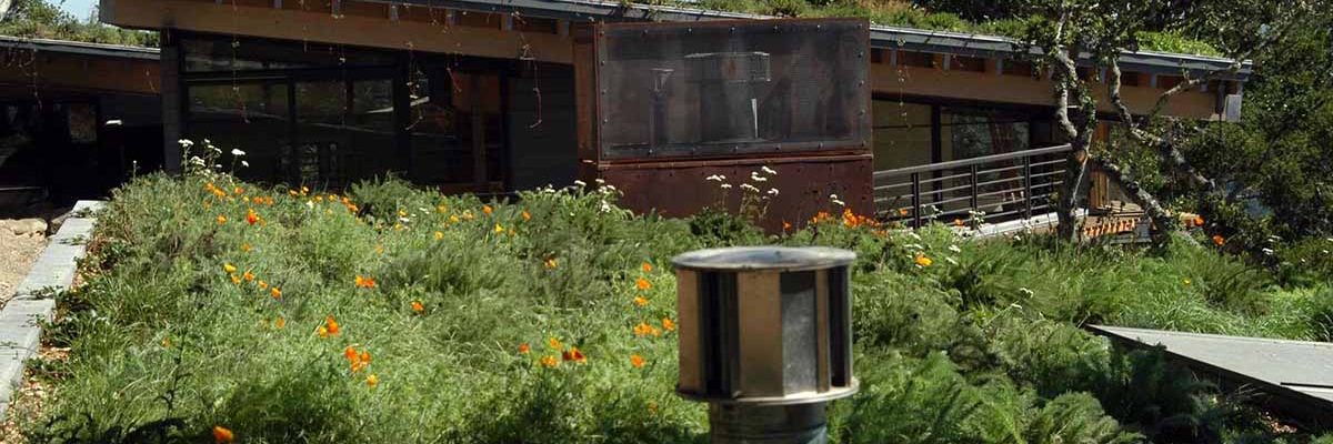 Green Roofs for Healthy Cities