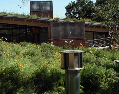 Green Roofs for Healthy Cities