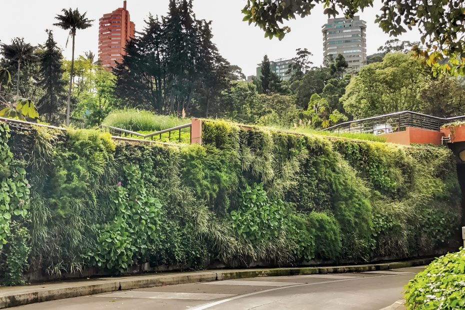 Soluciones basadas en la naturaleza