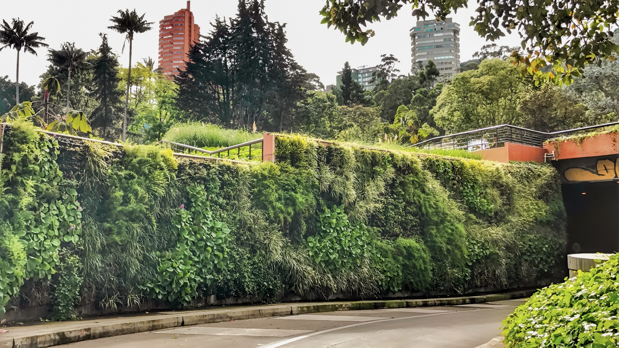 Soluciones basadas en la naturaleza
